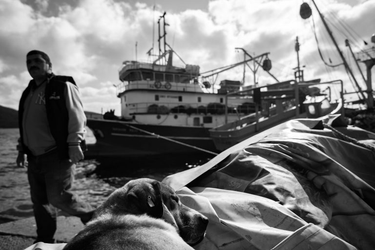 Street Photography Selected Works - Aykut Hakkut